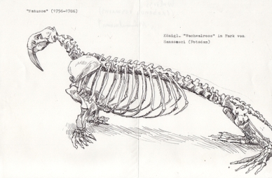 >>Tippen oder Wischen für nächstes Bild