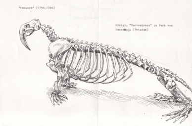 Matusse, Serie aus 2017, Kugelschreiber auf Papier, 21 x 29 cm